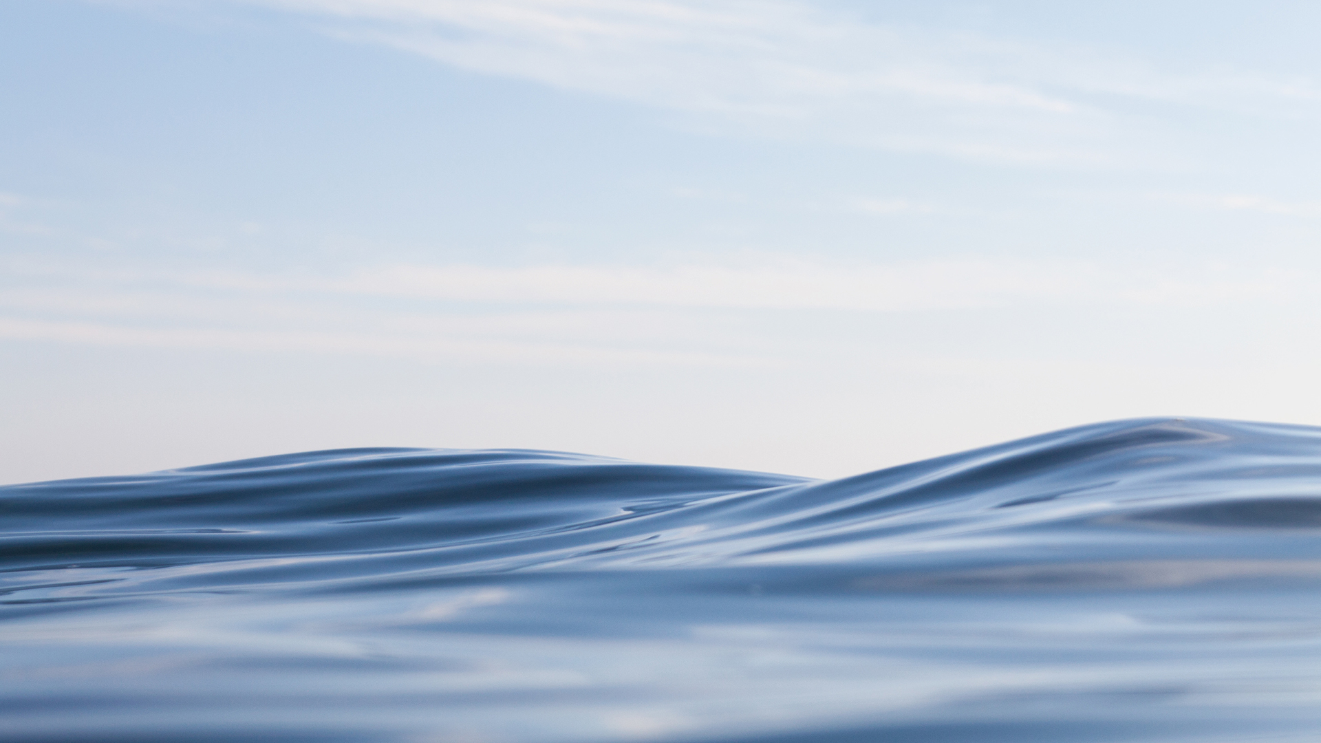 Lost Shore Surf Resort